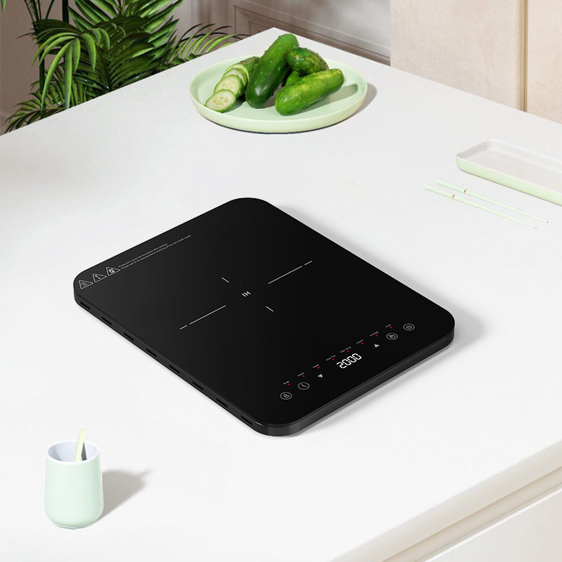 Dubbele inductiekookzones met  - Hot Pot Portable Dual recensie en prijs