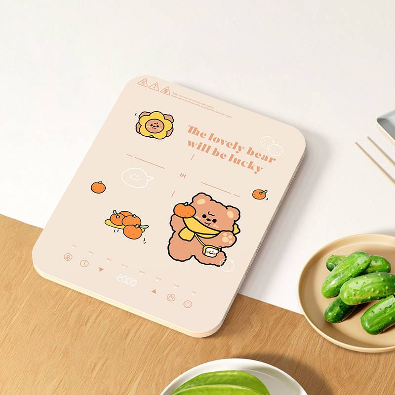 Dubbele inductiekookzones met  - Hot Pot Portable Dual recensie en prijs