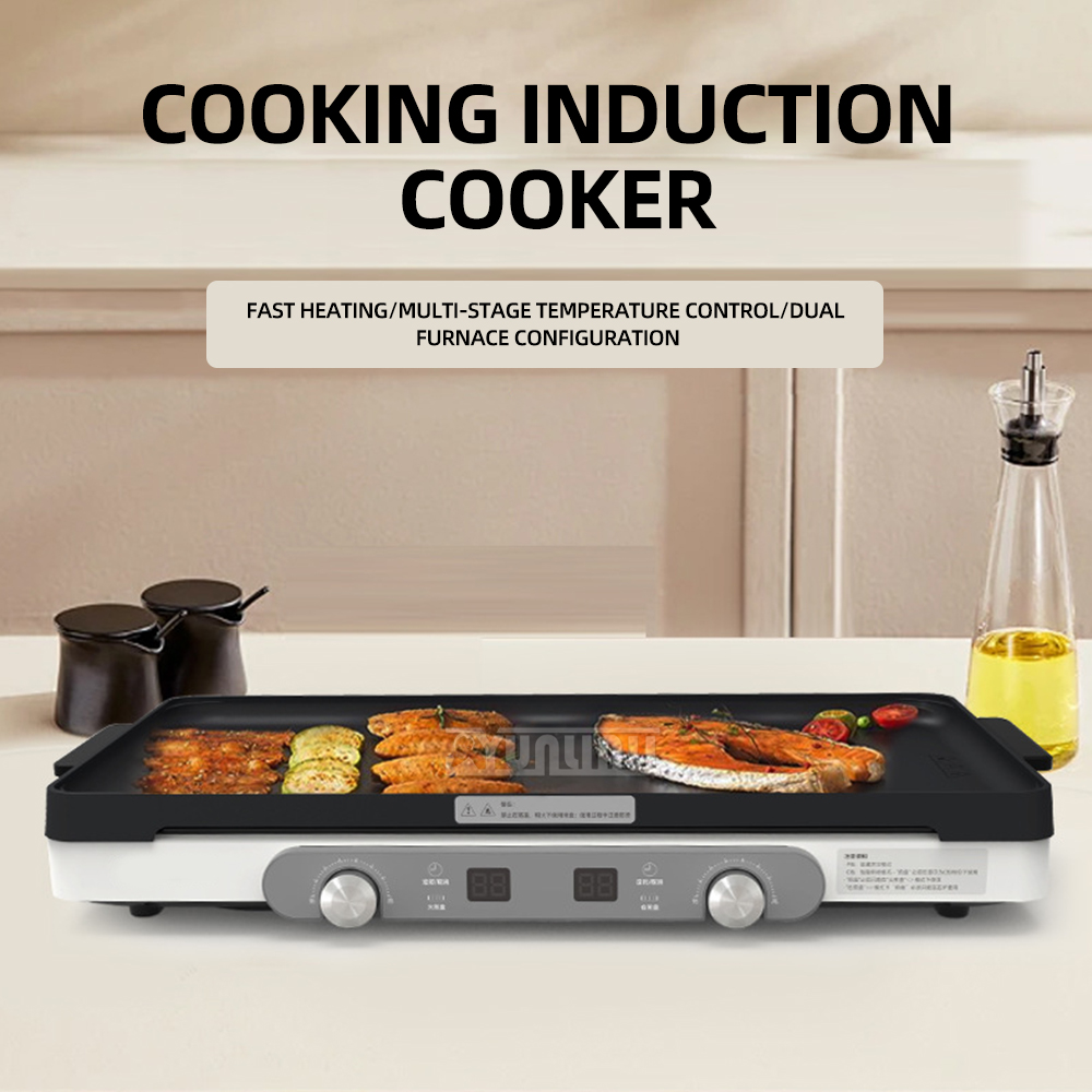 Dubbele keukenkookplaat Huisho - Hot Pot Portable Dual recensie en prijs