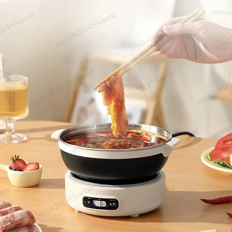 220V Draagbare Split Multi Coo - Hot Pot Portable Dual recensie en prijs