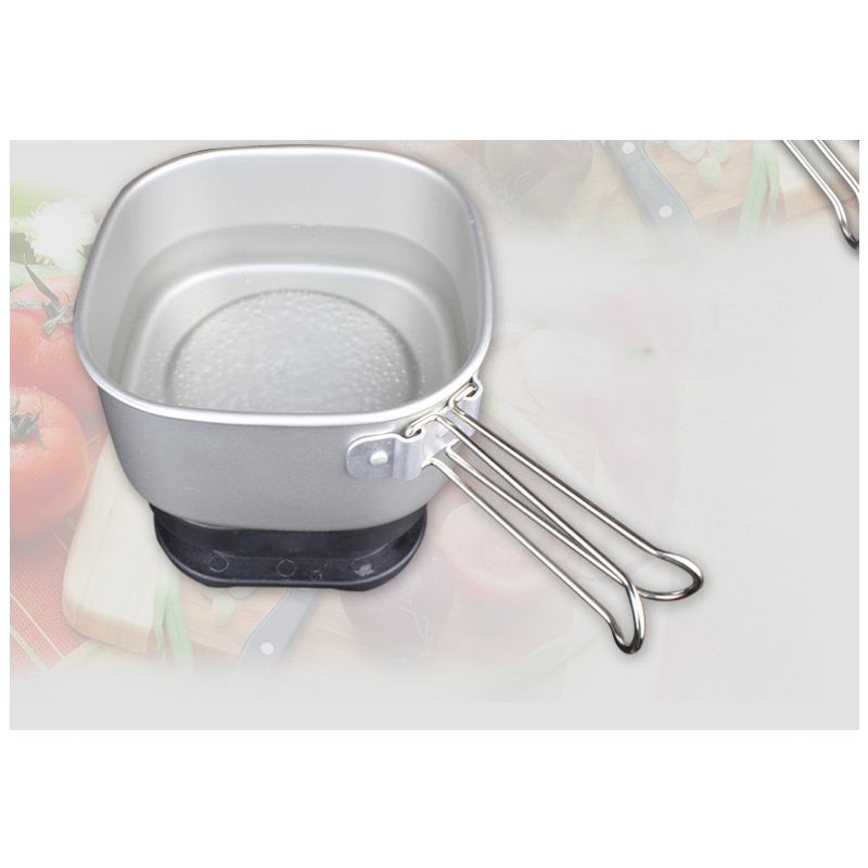 1.3L Dual Voltage Mini Reistaf - Hot Pot Portable Dual recensie en prijs