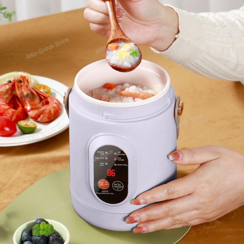 Draagbare multifunctionele min - Hot Pot Portable Dual recensie en prijs